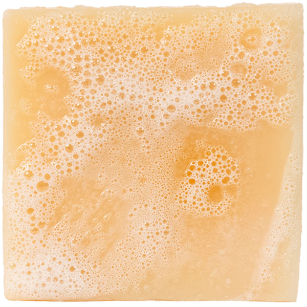 Bar Soap || Alpine Sage