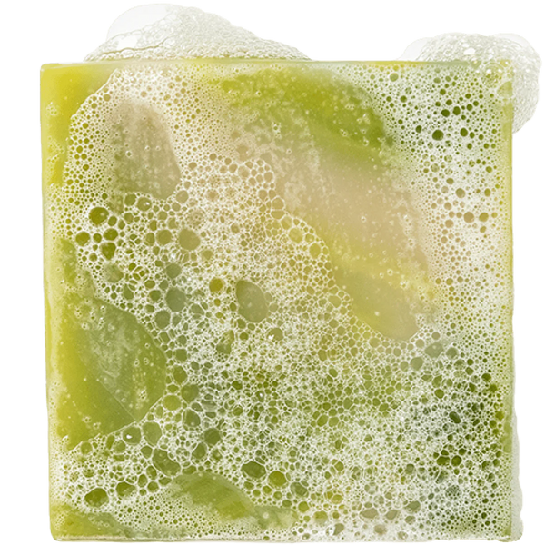 Bar Soap || Cool Fresh Aloe