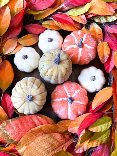 Mixed Bag of Pumpkins & Gourds