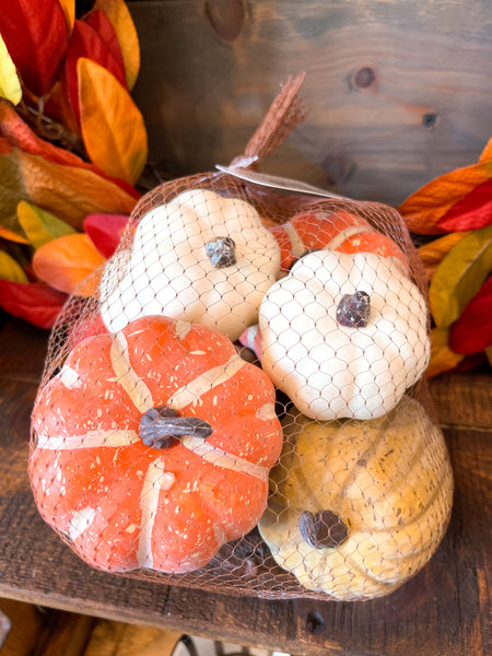 Mixed Bag of Pumpkins & Gourds