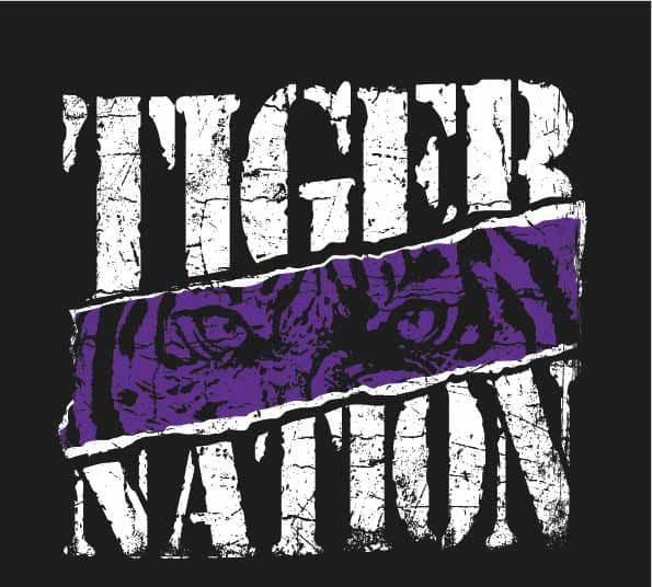 School Mascot Nation V-Neck Tee || Tiger Purple