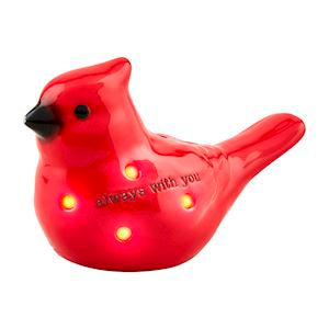 CARDINAL LIGHT UP SITTER