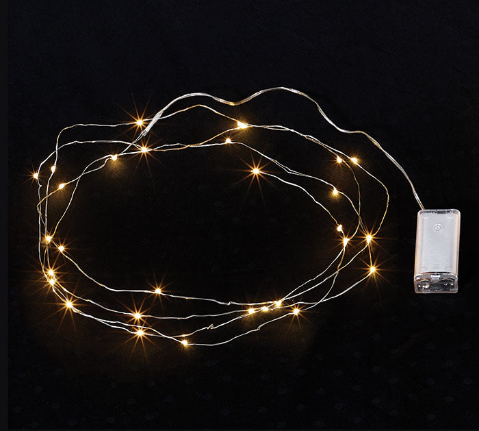 30LED LIGHTS ON WIRE BATTERY OPERATED