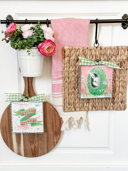 Gallery Mini || Hide & Seek Bunny