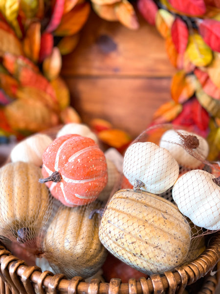 Mixed Bag of Pumpkins & Gourds