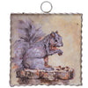 Gallery Mini || Squirrel Print