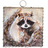 Gallery Mini || Raccoon Print