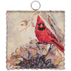 Mini Art || Cardinal Dried Sunflower