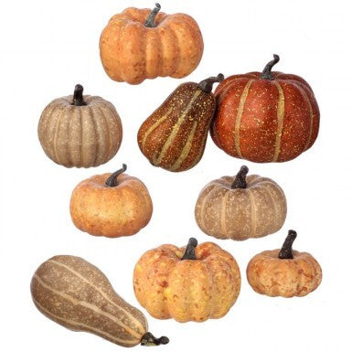 2.5-5" Pumpkin Mix Assortment 9pc Set