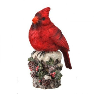 Cardinal on Stump