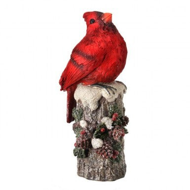 Cardinal on Stump Tall