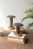Repurposed Iron Mushrooms with Wooden Bases