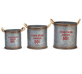 Pine Tree Seeds Tin Bucket L