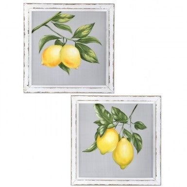 Painted Lemon Branch on 16x16" Screen