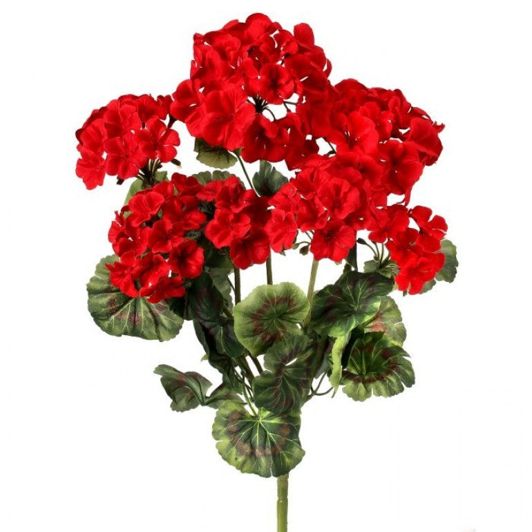 20" Geranium Bush || Red