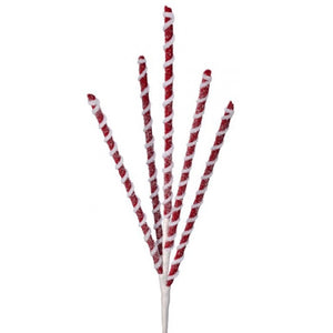 24" Frosted Peppermint Stick Spray