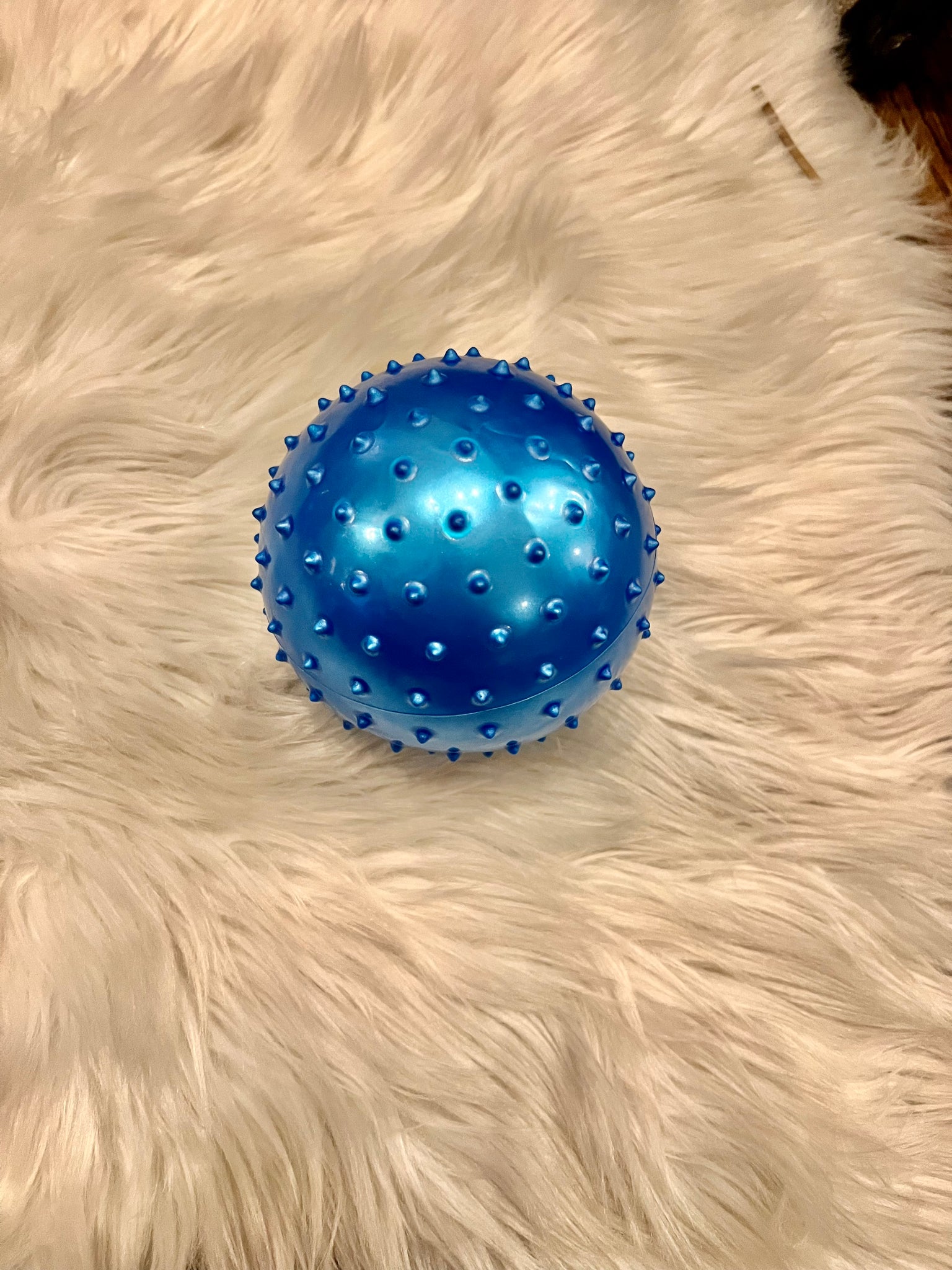 5" Spiky Ball